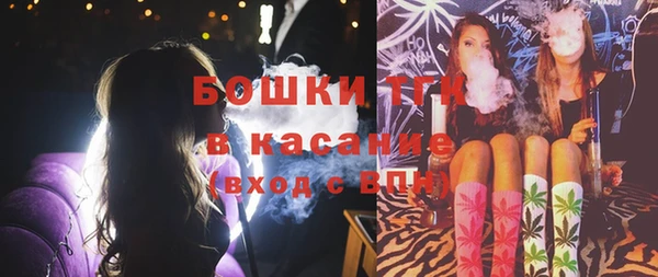 молекула духа Алексеевка